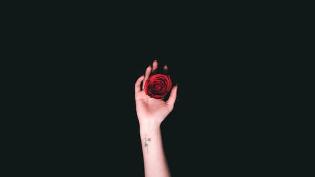 person holds a rose in their hand.